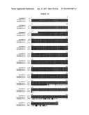 SPLICE VARIANTS OF HUMAN G-PROTEIN COUPLED RECEPTOR HGPRBMY29     (HGPRMBY29SV2) diagram and image