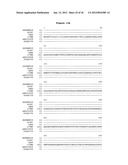 SPLICE VARIANTS OF HUMAN G-PROTEIN COUPLED RECEPTOR HGPRBMY29     (HGPRMBY29SV2) diagram and image