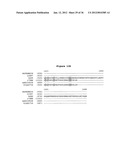 SPLICE VARIANTS OF HUMAN G-PROTEIN COUPLED RECEPTOR HGPRBMY29     (HGPRMBY29SV2) diagram and image