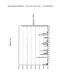 SPLICE VARIANTS OF HUMAN G-PROTEIN COUPLED RECEPTOR HGPRBMY29     (HGPRMBY29SV2) diagram and image