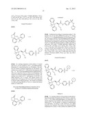 PYRROLIDINONE BENZENESULFONAMIDE DERIVATIVES AS MODULATORS OF ION CHANNELS     FOR THE TREATMENT OF PAIN diagram and image