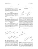 PYRROLIDINONE BENZENESULFONAMIDE DERIVATIVES AS MODULATORS OF ION CHANNELS     FOR THE TREATMENT OF PAIN diagram and image