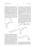 PYRROLIDINONE BENZENESULFONAMIDE DERIVATIVES AS MODULATORS OF ION CHANNELS     FOR THE TREATMENT OF PAIN diagram and image