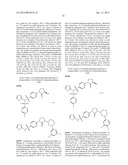 PYRROLIDINONE BENZENESULFONAMIDE DERIVATIVES AS MODULATORS OF ION CHANNELS     FOR THE TREATMENT OF PAIN diagram and image