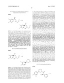 PYRROLIDINONE BENZENESULFONAMIDE DERIVATIVES AS MODULATORS OF ION CHANNELS     FOR THE TREATMENT OF PAIN diagram and image
