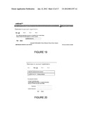 SYSTEM AND METHOD FOR PROVIDING SECURITY VIA A TOP LEVEL DOMAIN diagram and image