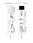 DISPLAY CONTROL DEVICE, DISPLAY CONTROL METHOD, AND PROGRAM diagram and image