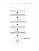 SEED STICKER AND METHOD FOR MANUFACTURING THE SAME diagram and image