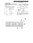 PROTECTIVE SHEET FOR SOLAR CELL MODULE AND SOLAR CELL MODULE diagram and image