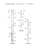 Downhole Packer Having Tandem Packer Elements for Isolating Frac Zones diagram and image