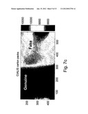 THERMOGRAPHY BASED SYSTEM AND METHOD FOR DETECTING COUNTERFEIT DRUGS diagram and image