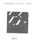 ELECTROSTATICALLY REGULATED ATOMIC SCALE ELECTROCONDUCTIVITY DEVICE diagram and image