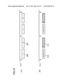 VIDEO SIGNAL PROCESSING DEVICE, VIDEO PROCESSING SYSTEM, SEMICONDUCTOR     INTEGRATED CIRCUIT, AND VIDEO SIGNAL PROCESSING METHOD diagram and image