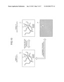 IMAGE PROCESSING APPARATUS, IMAGING APPARATUS, COMPUTER-READABLE STORAGE     MEDIUM, AND IMAGE PROCESSING METHOD diagram and image