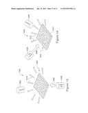 NANOWIRE LIGHT CONCENTRATORS FOR PERFORMING RAMAN SPECTROSCOPY diagram and image