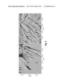 TIME REVERSE IMAGING OPERATORS FOR SOURCE LOCATION WITH BOREHOLE DATA diagram and image