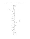 DEVELOPING DEVICE AND IMAGE FORMING APPARATUS HAVING THE DEVELOPING DEVICE diagram and image