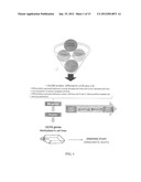 Ovarian Cancer Methylome diagram and image