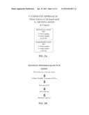 Ovarian Cancer Methylome diagram and image