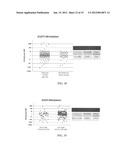 Ovarian Cancer Methylome diagram and image