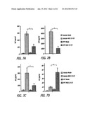 Estriol Therapy for Autoimmune and Neurodegenerative Disease and Disorders diagram and image