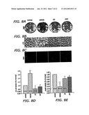 Estriol Therapy for Autoimmune and Neurodegenerative Disease and Disorders diagram and image