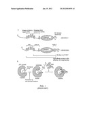 MODULATION OF SOCS EXPRESSION IN THERAPEUTIC REGIMENS diagram and image