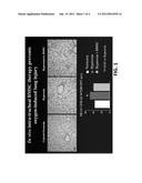 STEM CELLS FOR TREATING LUNG DISEASES diagram and image