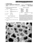 HUMAN LATE STAGE MOTOR NEURON PROGENITOR CELLS diagram and image