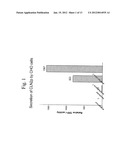 RECOMBINANT HUMAN CLN2 PROTEIN AND METHODS OF ITS PRODUCTION AND USE diagram and image