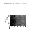 RECOMBINANT HUMAN CLN2 PROTEIN AND METHODS OF ITS PRODUCTION AND USE diagram and image