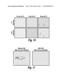 METHODS AND COMPOSITIONS FOR CNS DELIVERY OF HEPARAN N-SULFATASE diagram and image