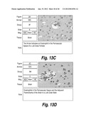 METHODS AND COMPOSITIONS FOR CNS DELIVERY OF HEPARAN N-SULFATASE diagram and image