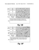 METHODS AND COMPOSITIONS FOR CNS DELIVERY OF HEPARAN N-SULFATASE diagram and image