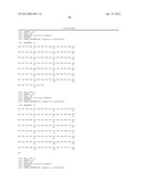 ANTI-BV8 ANTIBODIES AND USES THEREOF diagram and image