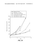 ANTI-BV8 ANTIBODIES AND USES THEREOF diagram and image