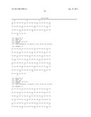 Composition Comprising Antibodies to LINGO or Fragments Thereof diagram and image