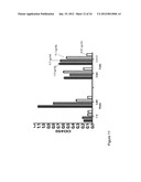 Composition Comprising Antibodies to LINGO or Fragments Thereof diagram and image