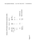 Composition Comprising Antibodies to LINGO or Fragments Thereof diagram and image