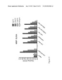 Composition Comprising Antibodies to LINGO or Fragments Thereof diagram and image