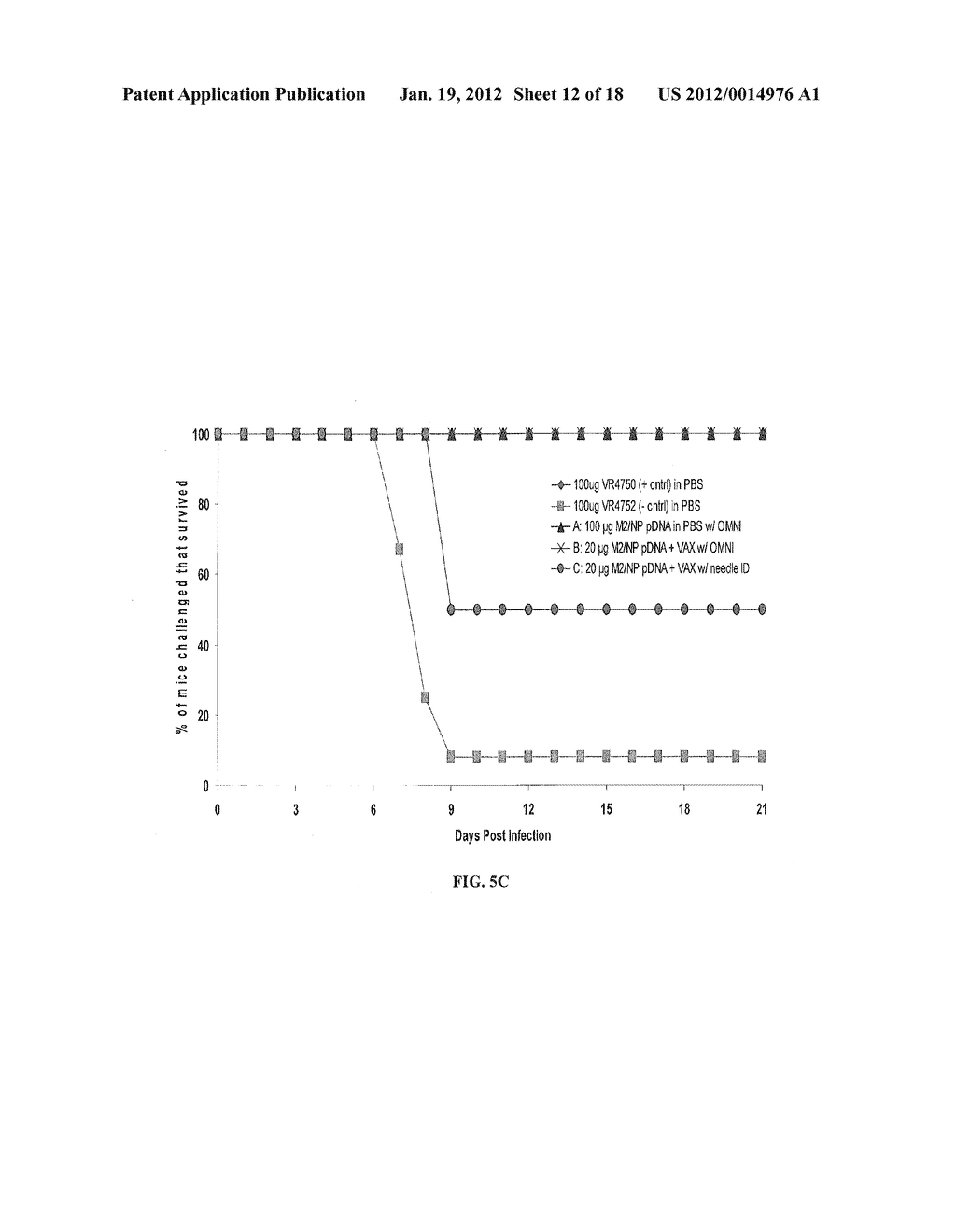 COMPOSITIONS AND METHODS FOR ENHANCING IMMUNE RESPONSES TO VACCINES - diagram, schematic, and image 13