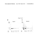 MODIFIED CHAPERONIN 10 diagram and image