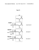 MODIFIED CHAPERONIN 10 diagram and image