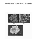 Diketopiperazine Microparticles with Defined Specific Surface Areas diagram and image