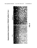 METHODS FOR TREATING TWEAK-RELATED CONDITIONS diagram and image