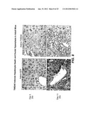 METHODS FOR TREATING TWEAK-RELATED CONDITIONS diagram and image