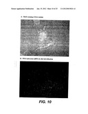 METHODS FOR TREATING TWEAK-RELATED CONDITIONS diagram and image