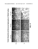 METHODS FOR TREATING TWEAK-RELATED CONDITIONS diagram and image