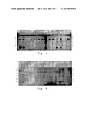 EXTRACT OF EUODIA SUAVEOLENS SCHEFF, REPELLENT COMPOSITIONS AND USE     THEREOF diagram and image