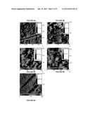 MODIFIED SURFACE MATERIAL, METHOD FOR PREPARING SAME AND USES THEREOF diagram and image